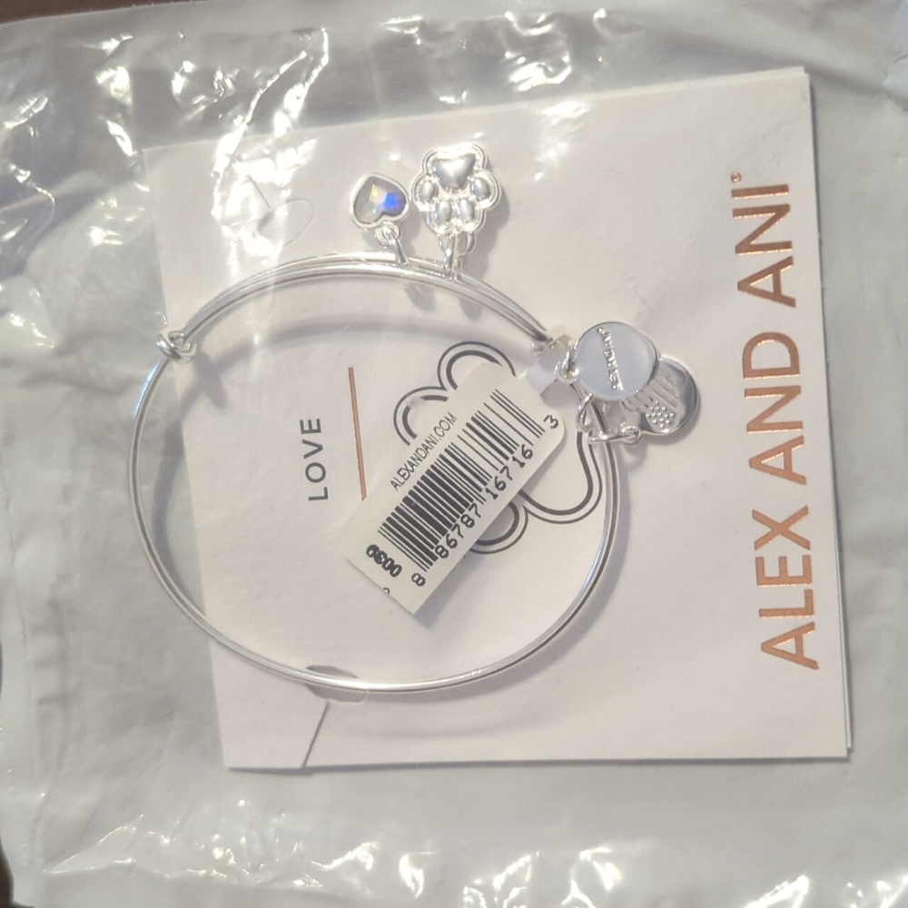 NWT Bulk Set of Alex And Ani Bracelets and Accessories - Picture 5 of 8